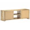 TV Cabinet 120x30x40 cm Solid Mango Wood