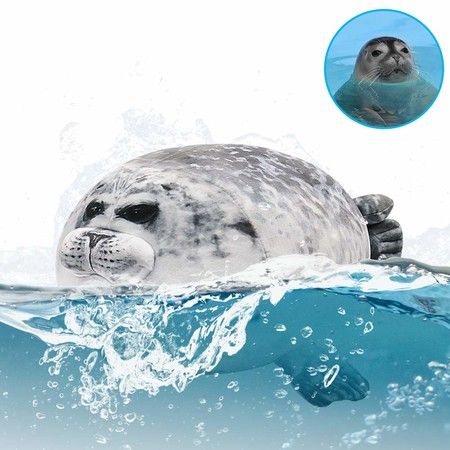 https://img.crazysales.com.au/products_pictures/246/246871_1964279_F.jpg