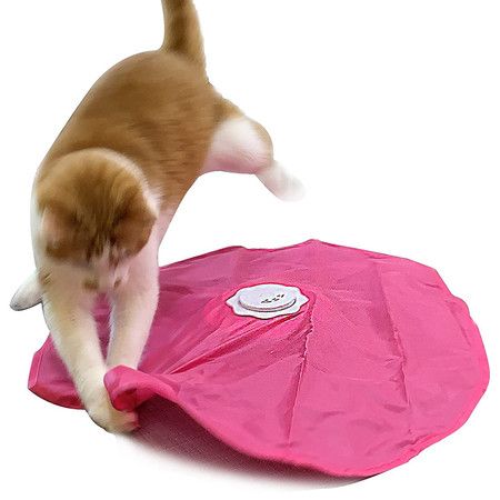 Interactive Cat Play-Catch The Tail-Electric, Rotating Feather, Motion, Automatic, Best Undercover Mouse Under Blanket cat Toy
