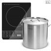 Electric Smart Induction Cooktop and 21L Stainless Steel Stockpot 30cm Stock Pot