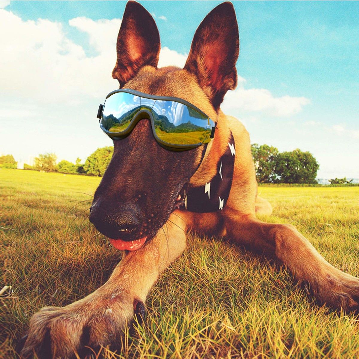 Dog Sunglasses Dog Goggles, UV Protection Wind Protection Dust