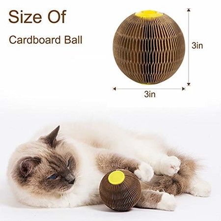 https://img.crazysales.com.au/products_pictures/247/247851_1976617_F.jpg