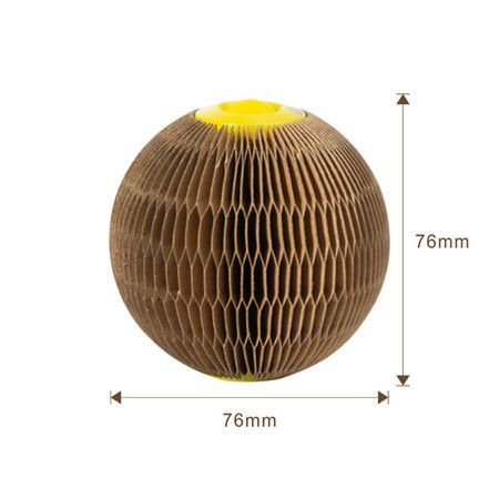 https://img.crazysales.com.au/products_pictures/247/247851_1976629_F.jpg