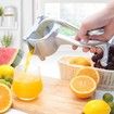 Manual Fruit Juicer Squeezer Heavy Duty Lemon Lime Citrus Hand Press Bar Tool Juice Squeezer (Silver)