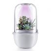 Succulent Pots with LED Grow Light,Smart Succulent Planters with Timer and Ventilation System