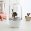 Succulent Pots with LED Grow Light,Smart Succulent Planters with Timer and Ventilation System