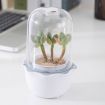 Succulent Pots with LED Grow Light,Smart Succulent Planters with Timer and Ventilation System