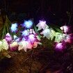 Outdoor Solar Garden Stake Lights - Doingart 2 Pack Solar Powered Lights with 8 Lily Flower, Multi-color Changing LED Solar Decorative Lights for Garden, Patio, Backyard (Purple and White)