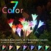 Solar Garden Lights, Multi-Color Changing Lily Solar Flower Lights for Patio,Yard Decoration (2 Pack,Purple and Red)