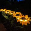 Solar LED Outdoor Lights | Sunflower Garden Lighting for Courtyard, Front yard(2 Pack)