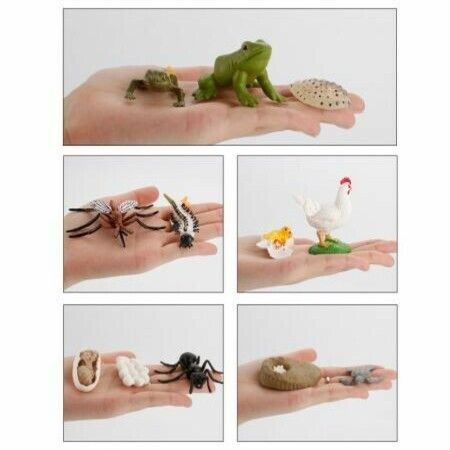 https://img.crazysales.com.au/products_pictures/248/248595_1993327_F.jpg
