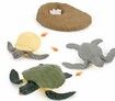 5 sets Realistic Life Growth Cycle of Salmon,chicken,ant, fog,turtle Educational Toys