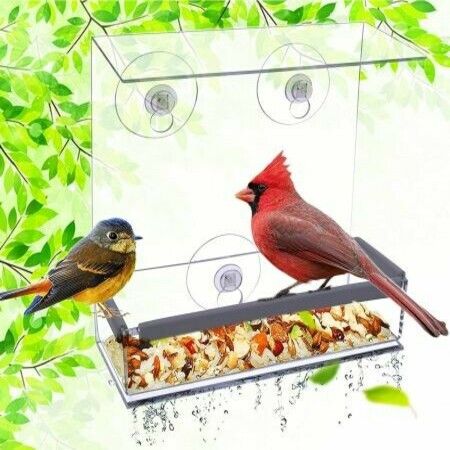 Window Bird Feeders, Bird Feeders for Outside (Square)