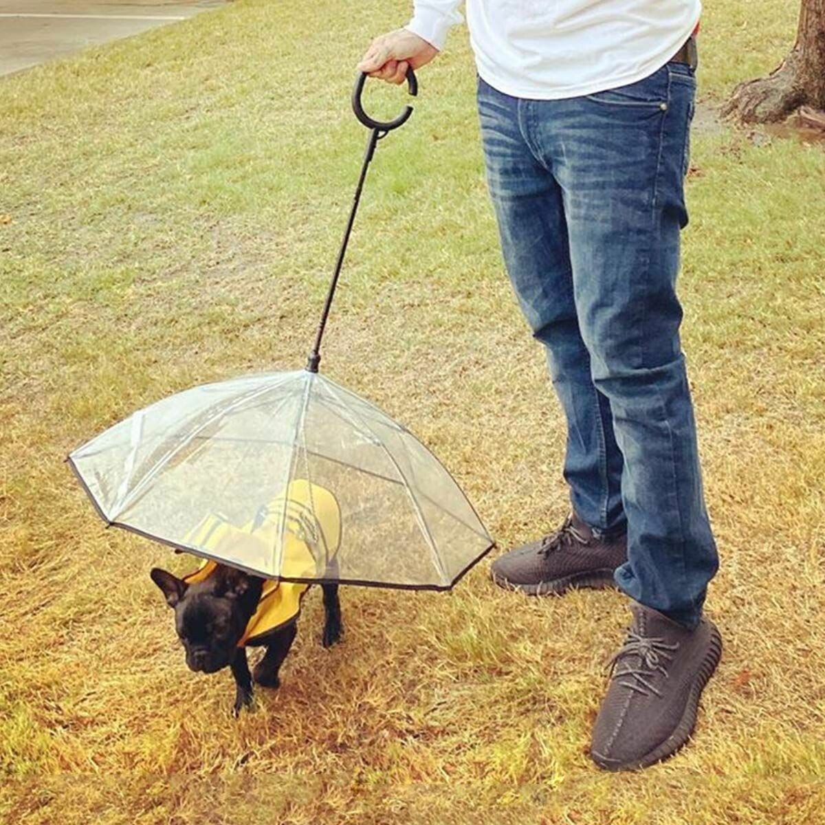 https://img.crazysales.com.au/products_pictures/248/248979_2005921_F.jpg