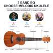 Melodic Electric Concert Ukulele 23 Inch Mahogany Hawaii Guitar EQ for Beginners 