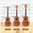 Melodic Electric Concert Ukulele 23 Inch Mahogany Hawaii Guitar EQ for Beginners 