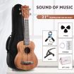 21 Inch Soprano Ukulele Mahogany Ukelele Uke Hawaii Guitar with Bag Tuner Pick Capo Melodic