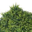 10pcs Artificial Boxwood Hedge Fence Fake Vertical Garden Type 1