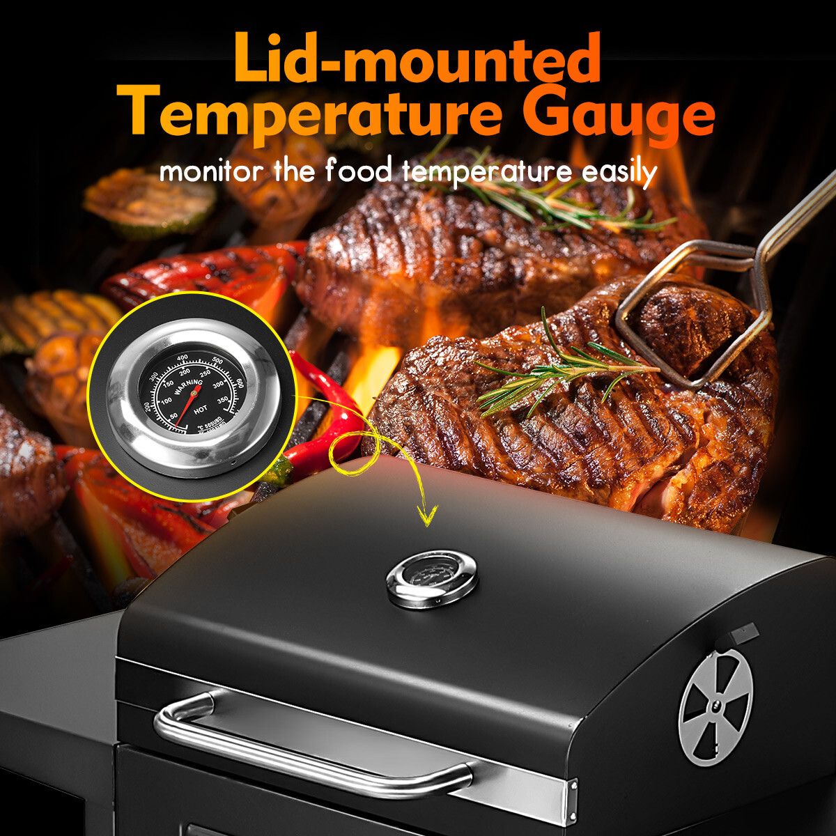 https://img.crazysales.com.au/products_pictures/249/249387_2013811_F.jpg