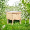 Honey Beehive Kit Bee Hive Box Metal Roof Wooden 10 Frame for Backyard Beekeeping