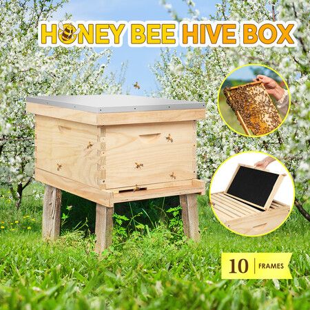 Honey Beehive Kit Bee Hive Box Metal Roof Wooden 10 Frame for Backyard Beekeeping