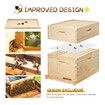 2 Layers Honey Bee Hive Box Beehive Kit Beekeeping Starter Set Backyard Wooden 20 Frame