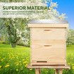 2 Layers Honey Bee Hive Box Beehive Kit Beekeeping Starter Set Backyard Wooden 20 Frame