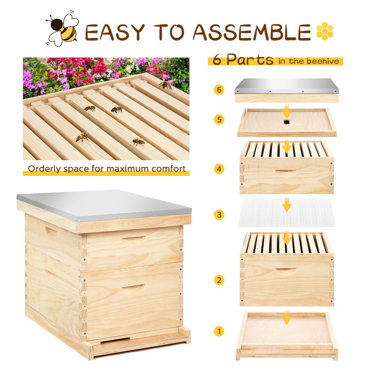 2 Layers Honey Bee Hive Box Beehive Kit Beekeeping Starter Set Backyard