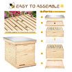 2 Layers Honey Bee Hive Box Beehive Kit Beekeeping Starter Set Backyard Wooden 20 Frame