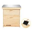 2 Layers Honey Bee Hive Box Beehive Kit Beekeeping Starter Set Backyard Wooden 20 Frame