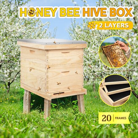 2 Layers Honey Bee Hive Box Beehive Kit Beekeeping Starter Set Backyard Wooden 20 Frame