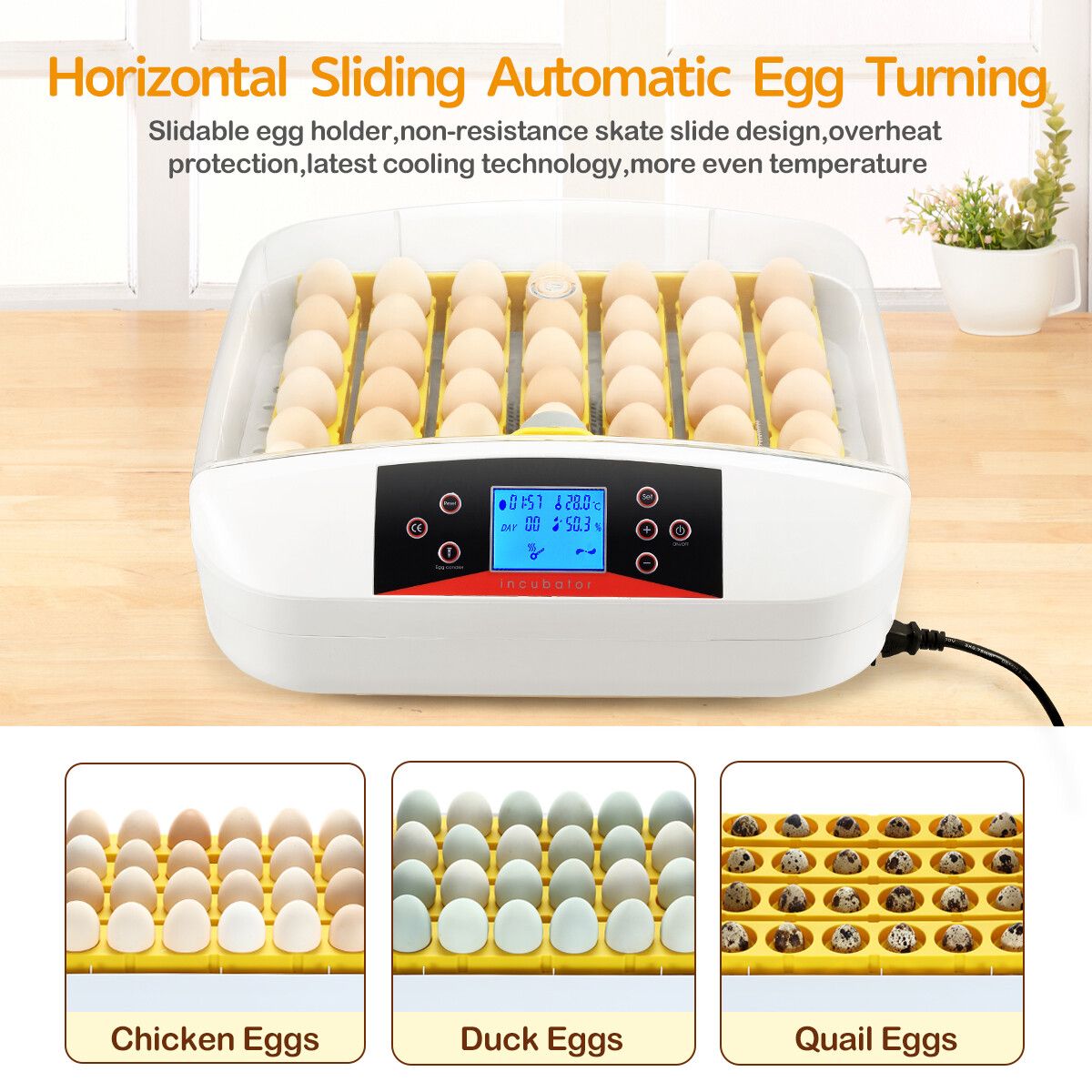 https://img.crazysales.com.au/products_pictures/249/249467_2015139_F.jpg