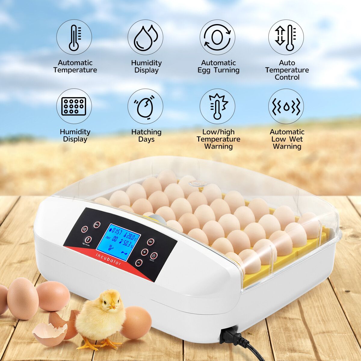 https://img.crazysales.com.au/products_pictures/249/249467_2015143_F.jpg