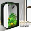 100x100x180cm Hydroponic Grow Tent Indoor Plant Room Reflective 600D Oxford with Floor Tray