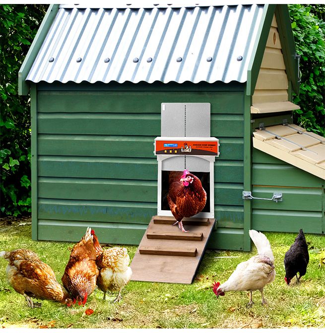 Petscene Automatic Chicken Coop Door Kit Auto Opener Closer Timer Light