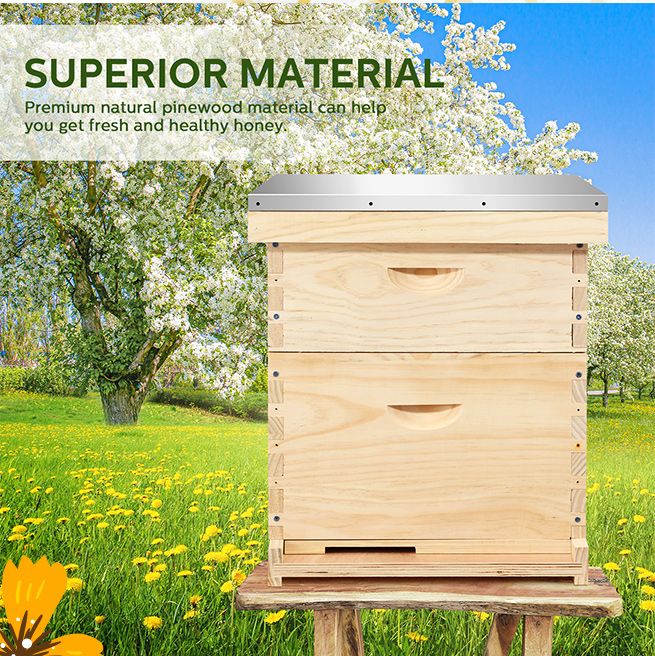 2 Layers Honey Bee Hive Box Beehive Kit Beekeeping Starter Set Backyard ...