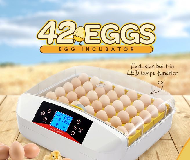 Automatic 42 Egg Incubator Digital Hatching Chicken Pigeon Quail Eggs