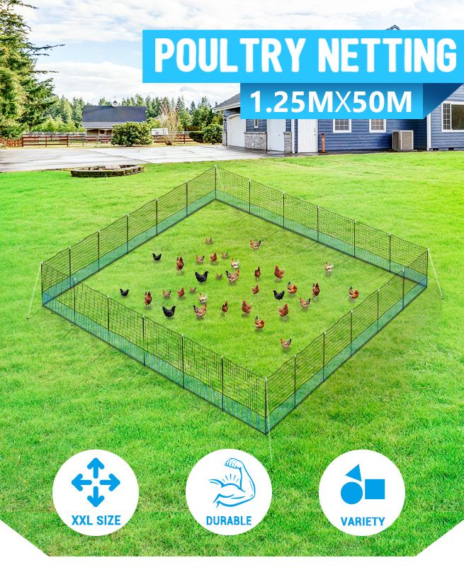 50mx1.25m portable chicken fencing backyard net set in various shape ...