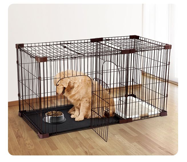 2 compartment dog crate