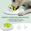 AFP Dog Slow Feeder Bowl Puzzle Pet Cat Fun Food Eating Anti-Gulping Bloat Interactive Dish