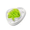 AFP Dog Slow Feeder Bowl Puzzle Pet Cat Fun Food Eating Anti-Gulping Bloat Interactive Dish