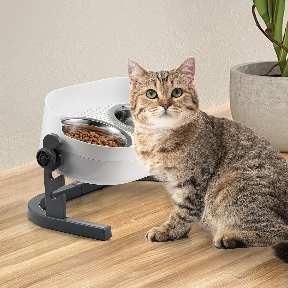 https://img.crazysales.com.au/products_pictures/250/250615_2030005_F.jpg