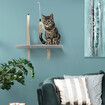 AFP Cat Wall Mounted Shelf Climber Perch Step Climbing Furniture Self Grooming Feather Toys