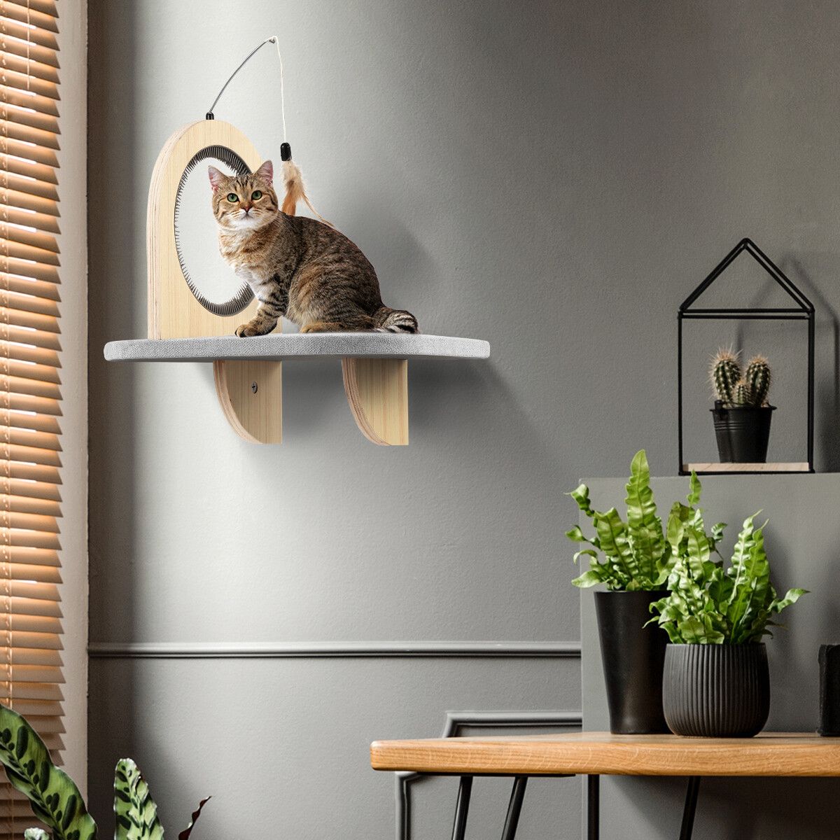 https://img.crazysales.com.au/products_pictures/250/250621_2030043_F.jpg