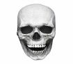 2022 Halloween Horror Decoration Full Head Skull Mask/Helmet Toys Movable Jaw Creative Unisex Funny