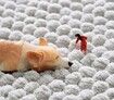 40cm x 60cm Chenille Bathroom Rug,Extra Soft and Cozy, Non-Slip,Super Absorbent Water