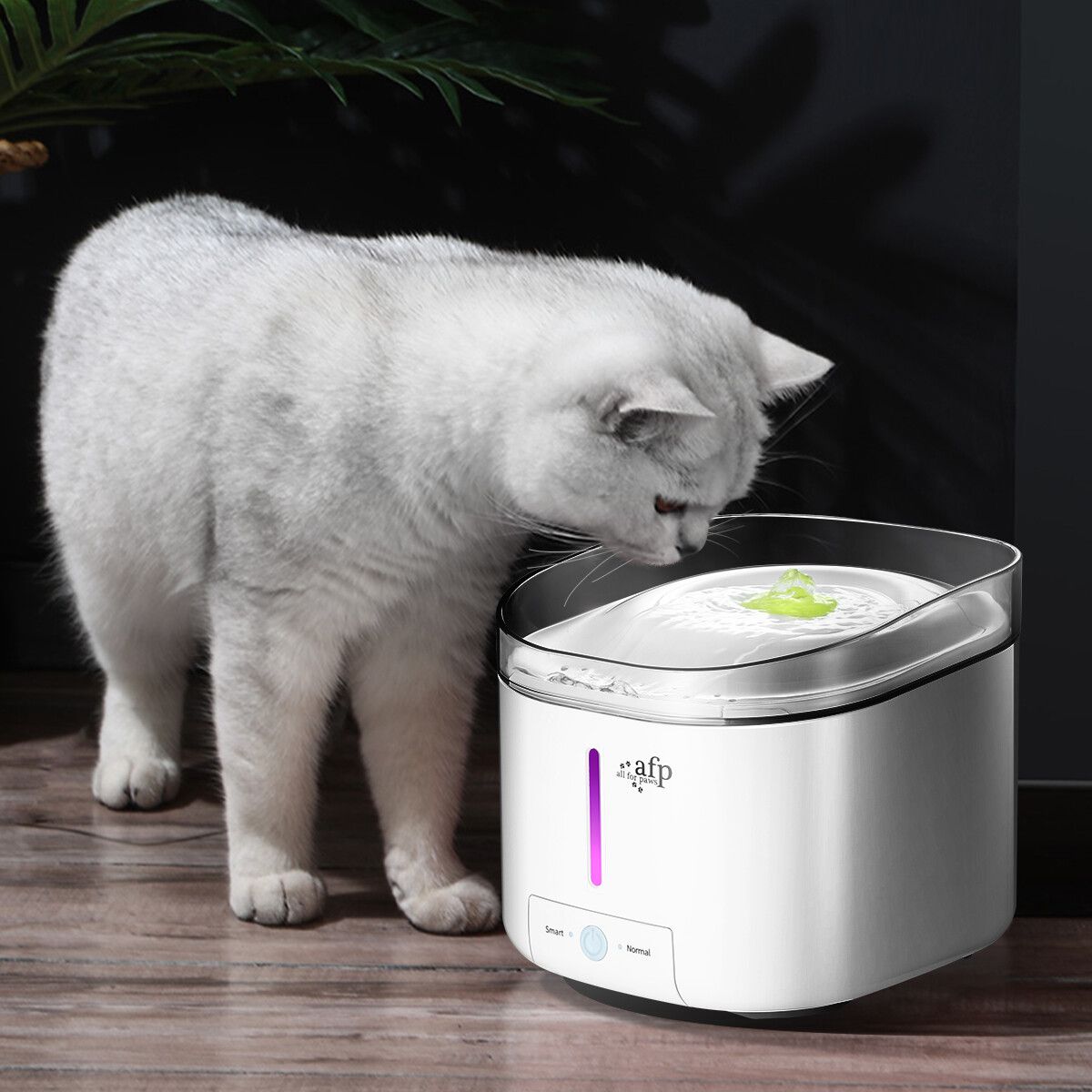 https://img.crazysales.com.au/products_pictures/251/251399_2038847_F.jpg