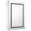 LED Bathroom Mirror Cabinet 50x13x70 cm