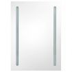 LED Bathroom Mirror Cabinet 50x13x70 cm