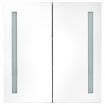 LED Bathroom Mirror Cabinet 60x14x62 cm